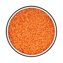 Crop of existing image
Used in Site Core