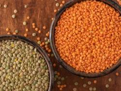 Crop of existing asset - part of FY26 Digestive Health-High Fiber Landing page