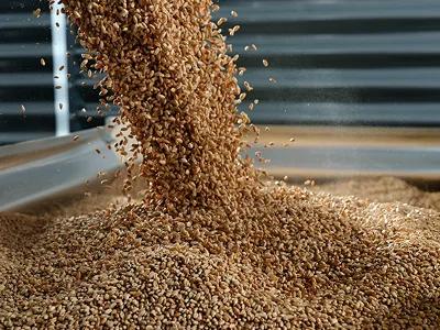 CTACard_SupplyAssurance_PerformanceProduction_400x300