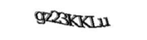 Security check image, please type the characters shown