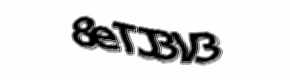 Security check image, please type the characters shown