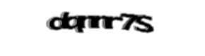 Security check image, please type the characters shown