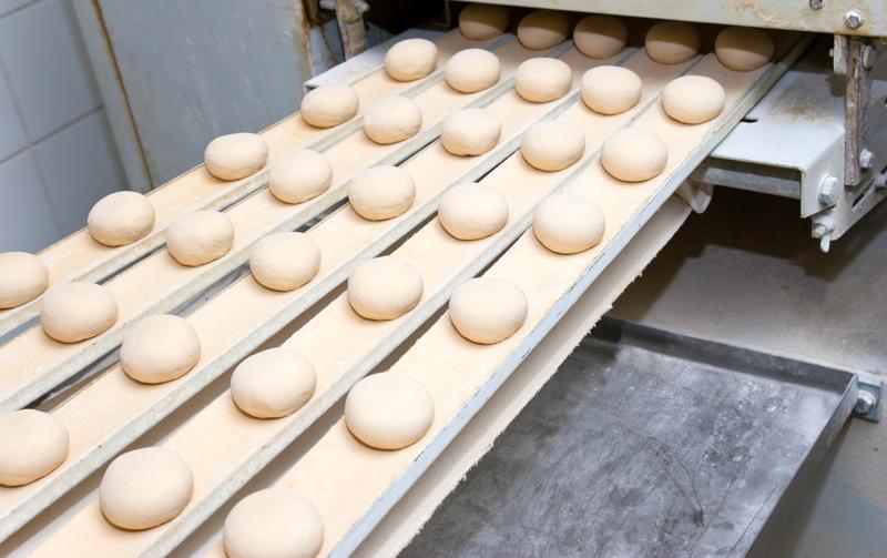 Production line with semi-finished buns on a resting conveyor belt. Dough needs to rest befor baking.