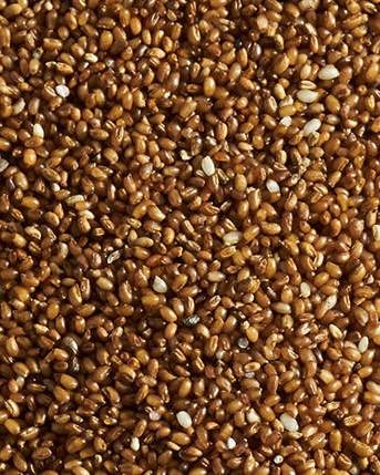 teff_detail vertical