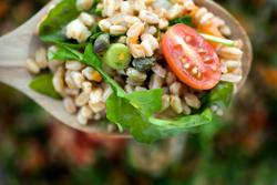 "close up of a spoonful of farro salad with cherry tomatoes, capers, green onions, arugula, onions and carrots"