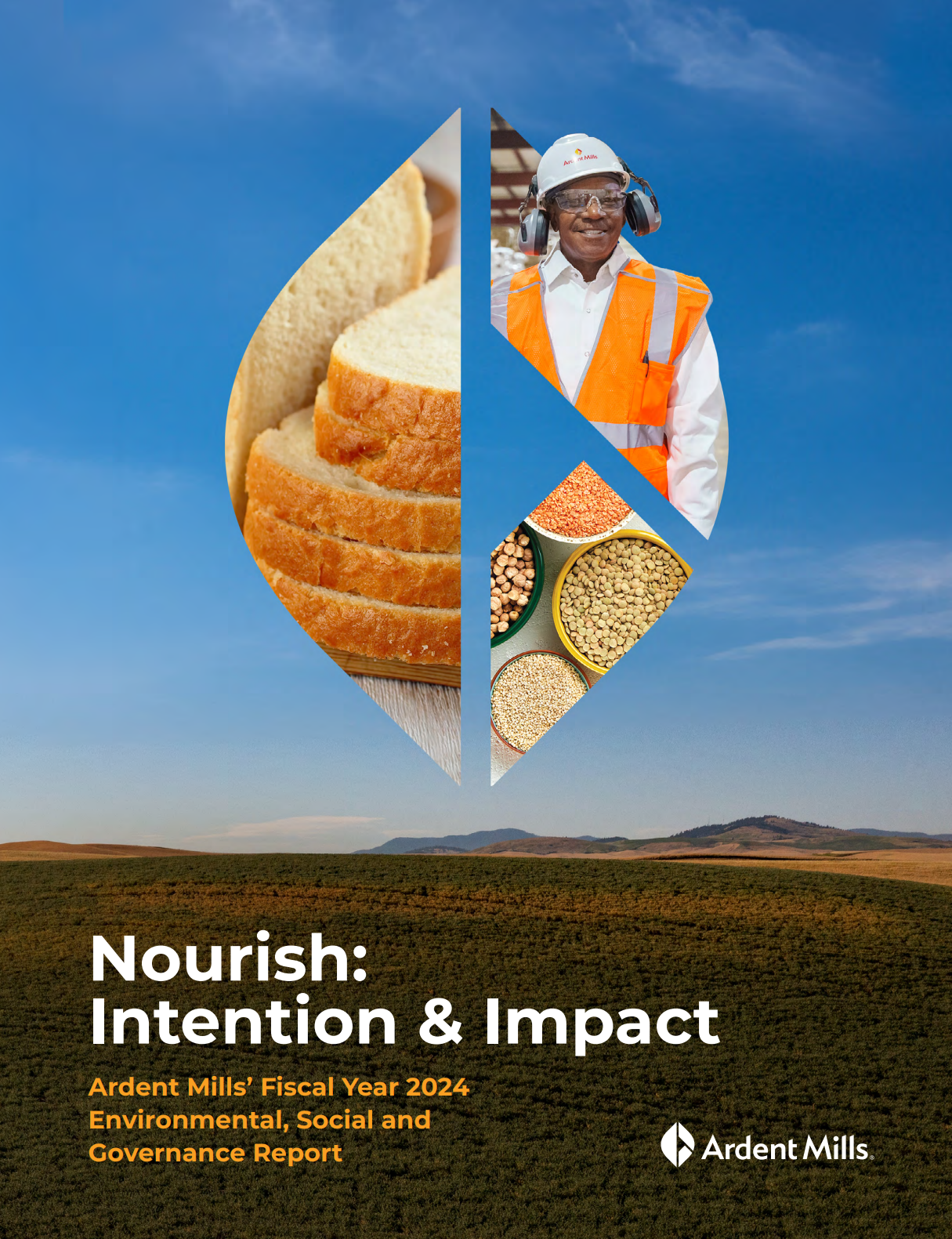 Thumnail icon for button linking to brochure. 