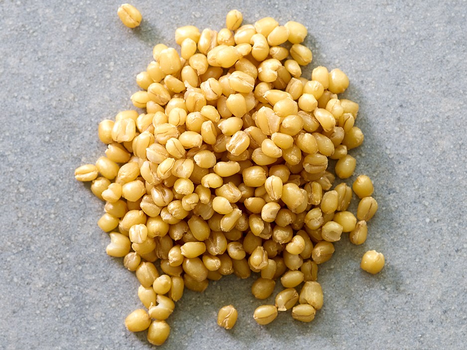 White sonora wheat