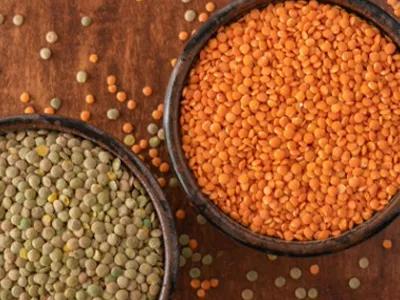 Crop of existing asset - part of FY26 Digestive Health-High Fiber Landing page