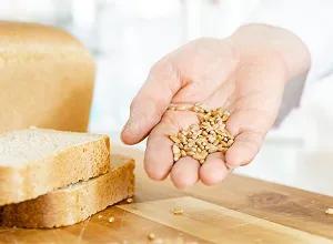 CTA_BakeSafer_FoodSafety_400x300