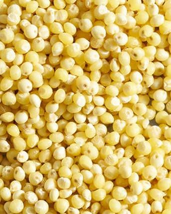 millet_detail_vertical