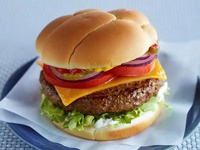 Cheeseburger with lettuce, mayonnaise, tomato and onion slices and pickles on a plate. 